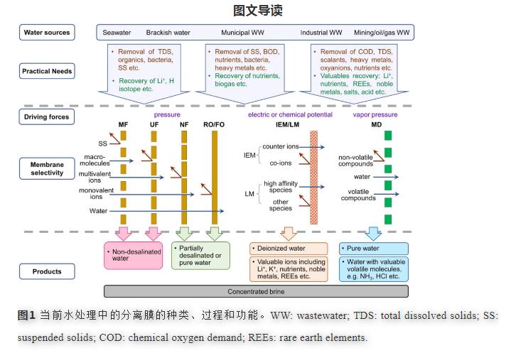 选择性膜用于水和废水处理-先进材料的作用