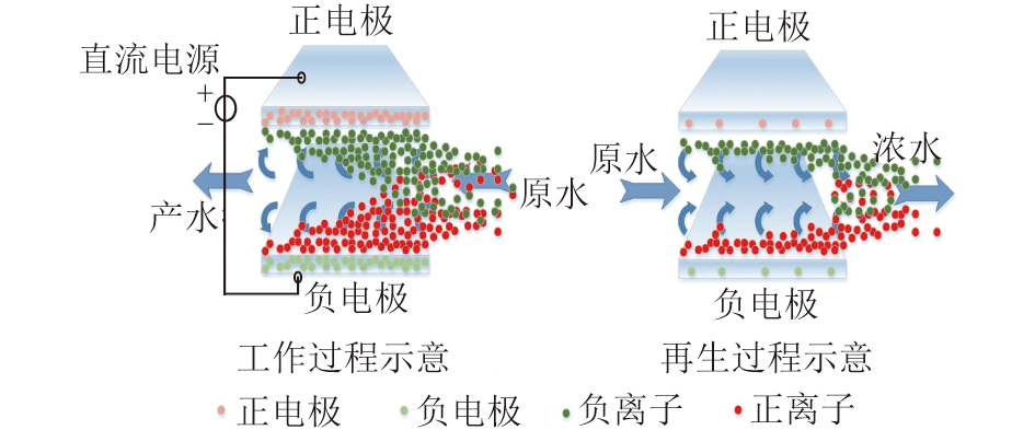 华北电力大学马双忱教授：电吸附技术在电力行业废水处理中的应用