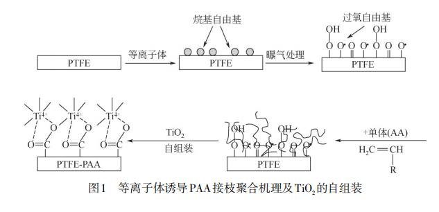 光催化分离膜的制备及其在水处理中的应用