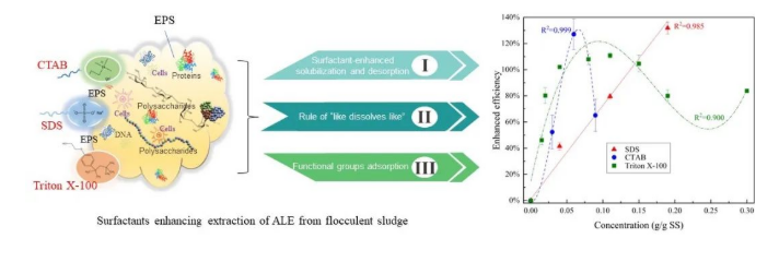 表面活性剂强化活性污泥类藻酸盐提取