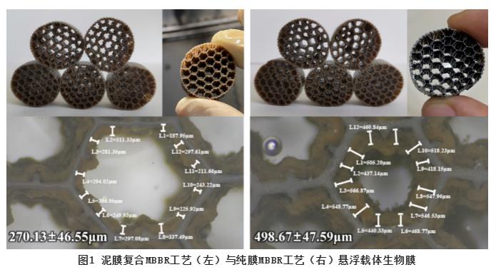 MBBR工艺应用于市政污水处理的系列解决方案探讨