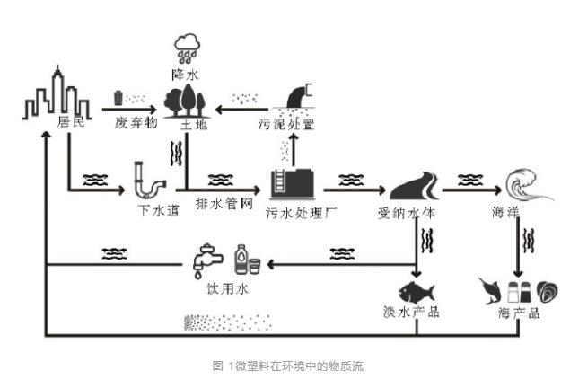 微塑料在污水处理过程中的演变与归宿